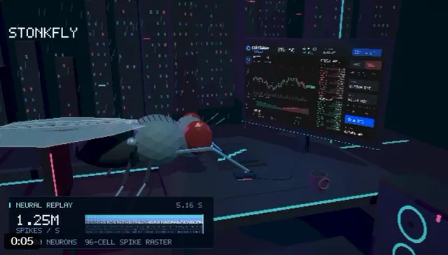 Carte meme Fruit Fly Brain Simulations