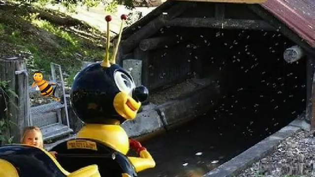 Fuck Bees meme card