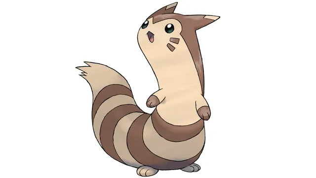 Furret meme card