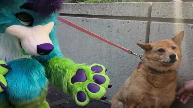 Carte meme Furry Scaring Dog
