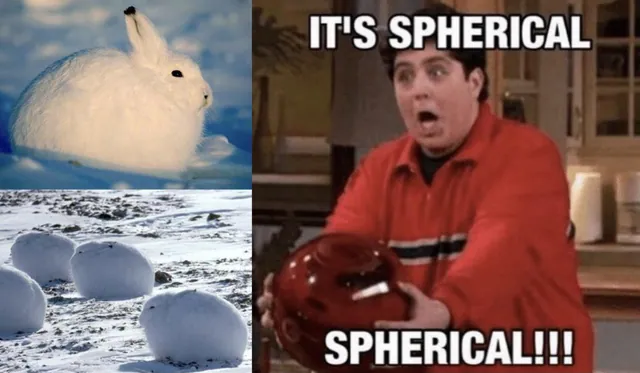 GameSphere / "It's Spherical!" meme card