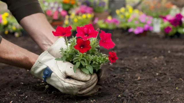 Gardening (Slang) meme card