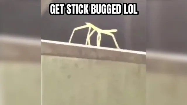 Get Stick Bugged Lol meme card