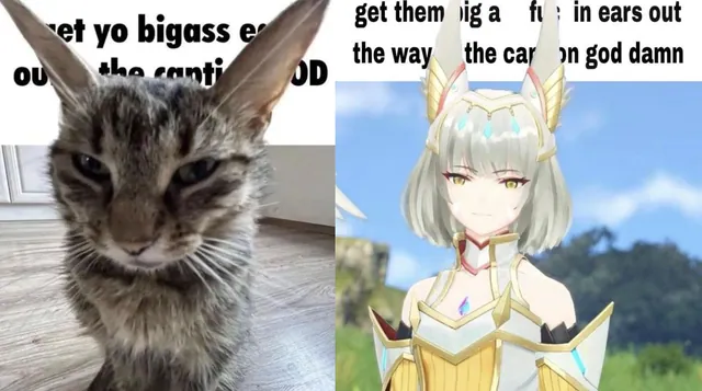 Get Them Bigass Ears Out Of The Caption meme card