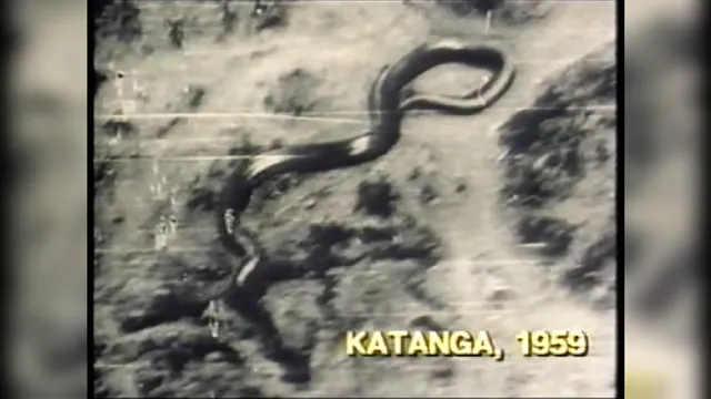 Carte meme Giant Congo Snake