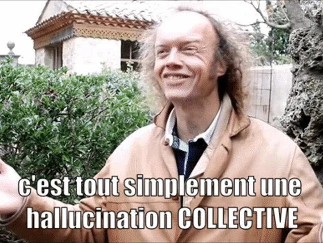 Meme Es una alucinación colectiva