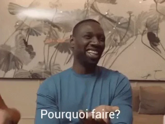 Pourquoi faire ? meme