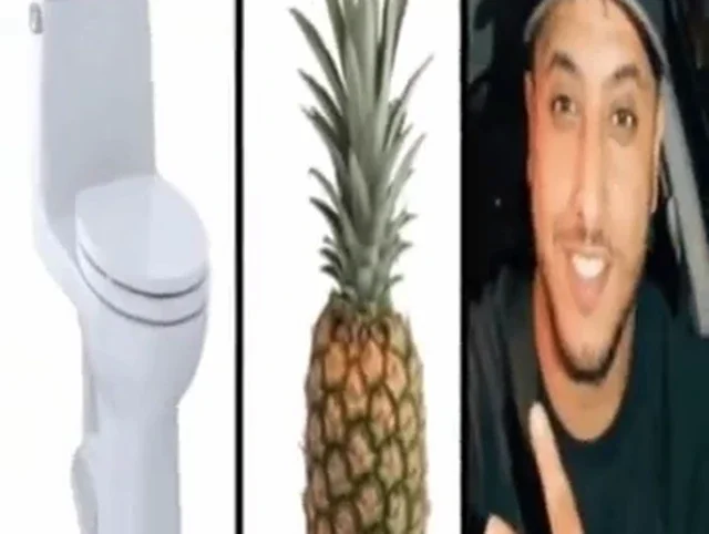 Meme Toilette, Ananas, Nasdas