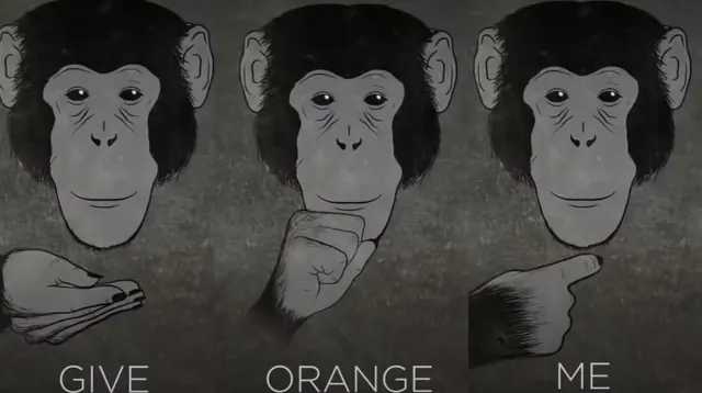 Give Orange Me meme card