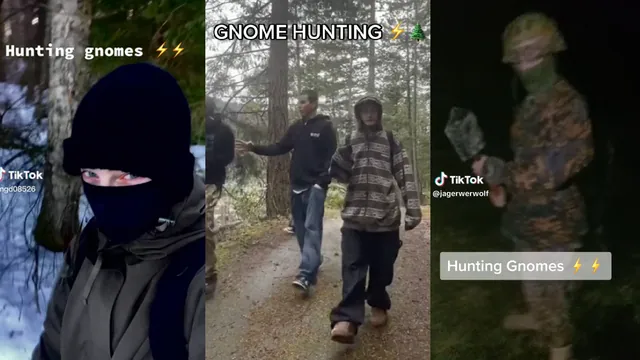 Gnome Hunting / Millions Wear the Hats meme card