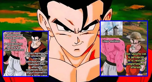 Gohan With His Perception Of Reality Altered meme card