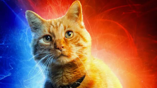 Carte meme Goose the Cat