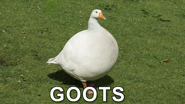 Goots meme card