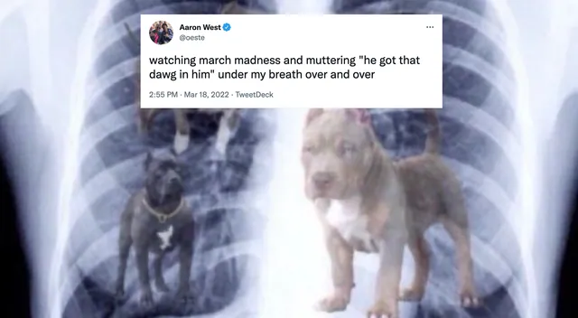 Got That Dog In Him meme card