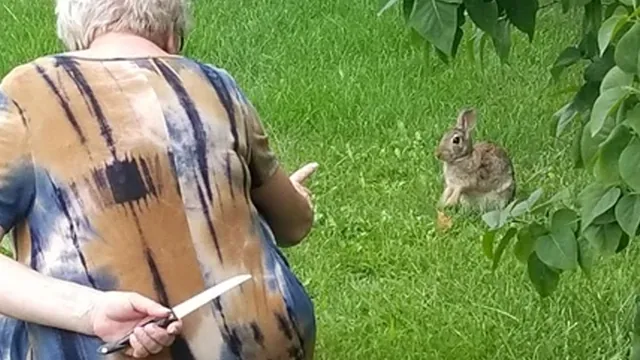 Grandma Hiding Knife From Rabbit meme card
