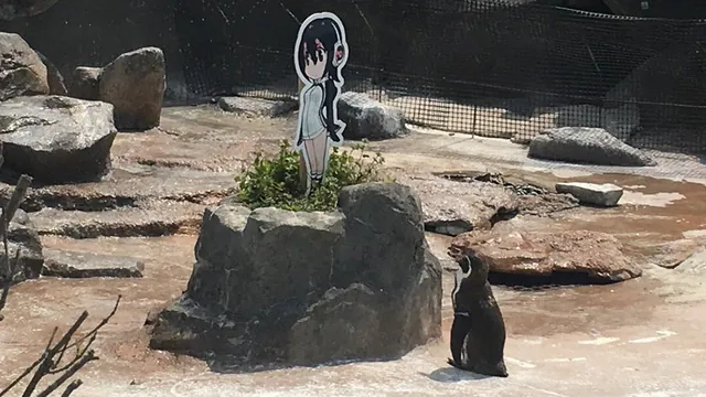 Grape-kun meme card