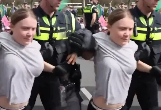 Greta Thunberg Breasts Photoshop meme card