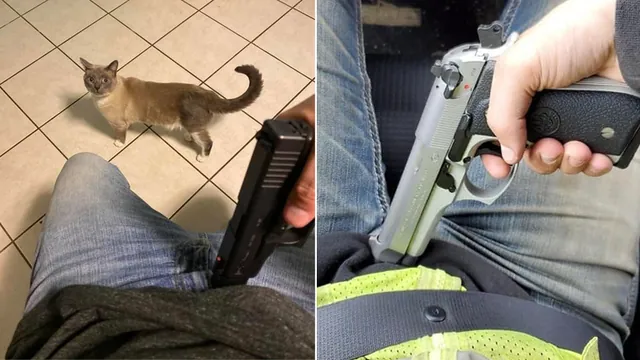 Gun Owners Pointing Guns At Their Crotches meme card