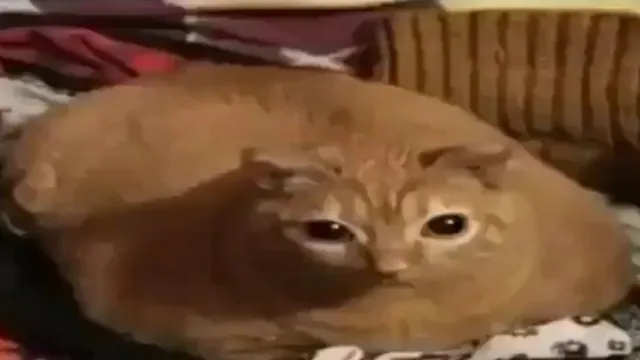 Carte meme Gwa Gwa