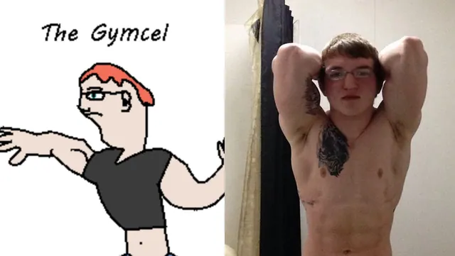 Gymcel meme card