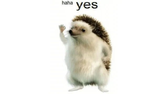 Haha Yes Hedgehog meme card