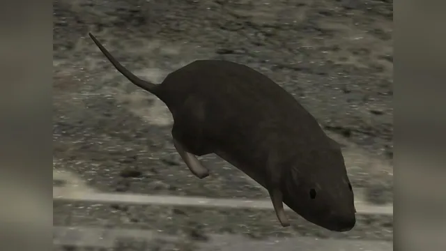 Halo 3 Rat meme card