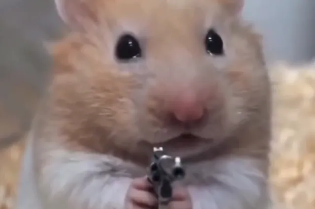 Carte meme Hamster Holding Gun / Hurt Hammy