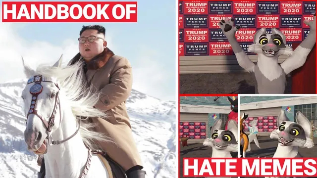 Handbook of Hate Memes meme card