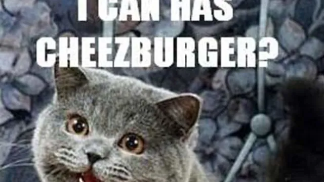 Happy Cat meme card
