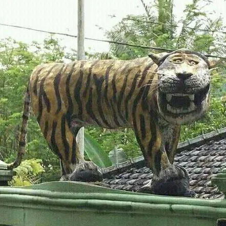 Harimau Lucu meme card