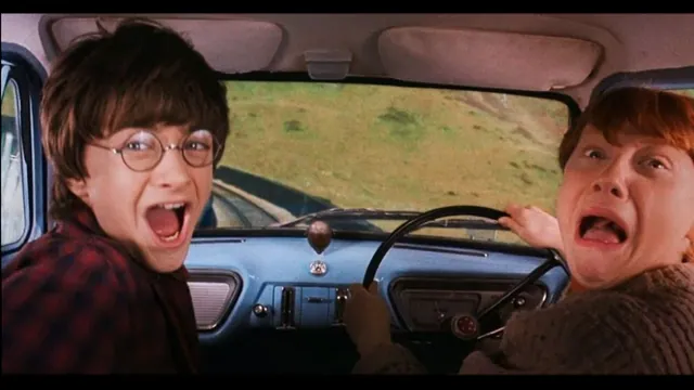 Carte meme Harry and Ron Screaming