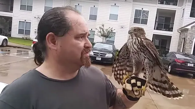 Carte meme Harvey the Hurricane Hawk