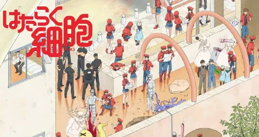Hataraku Saibou / Cells at Work! meme card