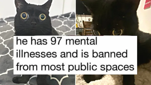 Carte meme He Has 97 Mental Illnesses