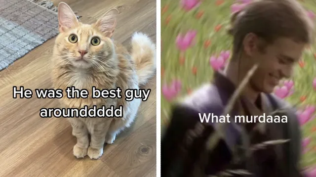 Carte meme He Was The Best Guy Around
