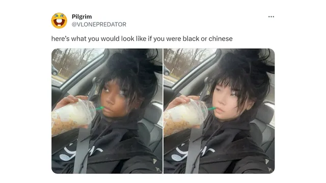 Here's What You Would Look Like If You Were Black or Chinese meme card