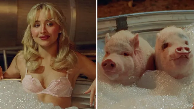 Carte meme « Hey Men » and They Are Pigs