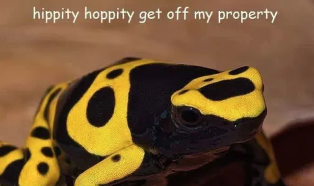 Carte meme Hippity Hoppity
