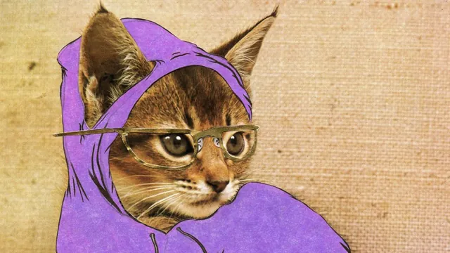 Hipster Kitty meme card