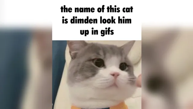 His Name Is X, Look Him Up meme card