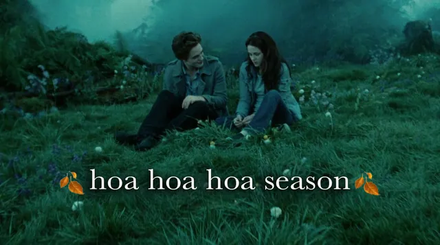 Carte meme Hoa Hoa Hoa Season