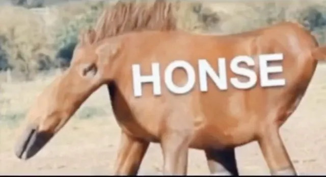 Honse meme card