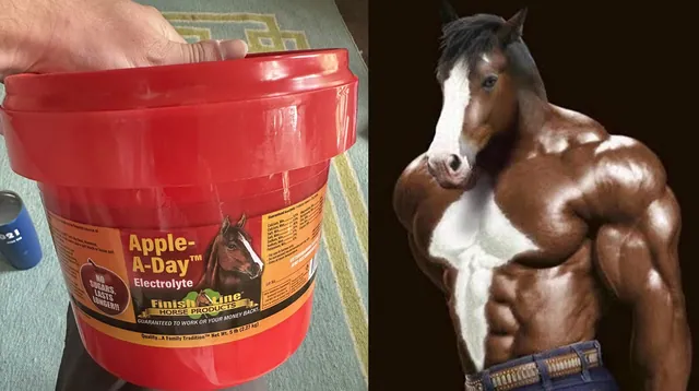 Carte meme Horse Electrolytes