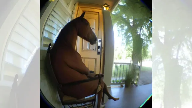 Horse Sitting In A Chair / Horse Sitting On The Front Porch meme card