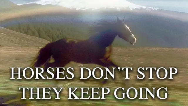 Horses Don't Stop They Keep Going meme card