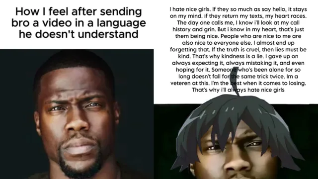 How I Feel After Sending Bro A Slideshow In A Language He Doesn't Understand meme card