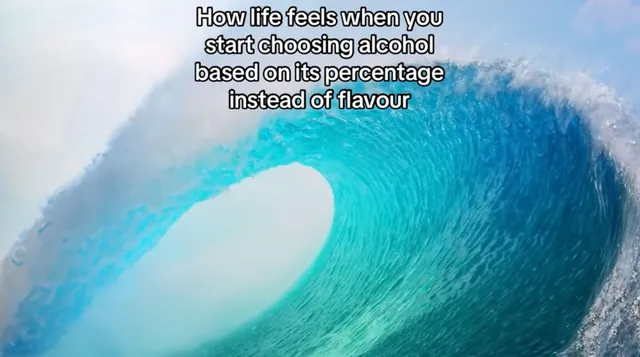 Carte meme How Life Feels When Drone Videos