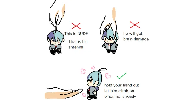 How to Pick Up X / How to Handle X meme card