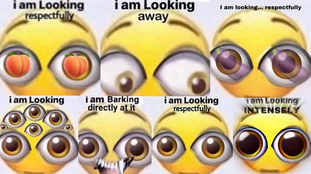 Carte meme I Am Looking Respectfully
