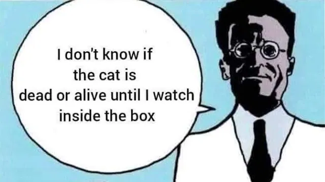 I Don't Know If the Cat Is Dead or Alive Until I Watch Inside the Box meme card